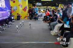 機器人梯隊大牌云集 長沙首屆魅力科技展開幕