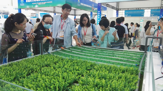 中阿博覽會—中國(寧夏)國際節水展覽會(圖1) 中阿博覽會—中國(寧夏)國際節水展覽會(圖1)