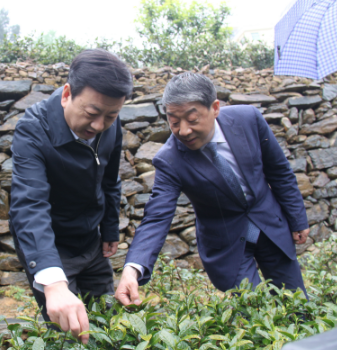 安康富硒茶引爆中國西部最牛茶專業展會(圖6) 安康富硒茶引爆中國西部最牛茶專業展會(圖6)