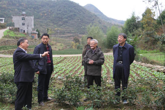 安康富硒茶引爆中國西部最牛茶專業展會(圖10) 安康富硒茶引爆中國西部最牛茶專業展會(圖10)