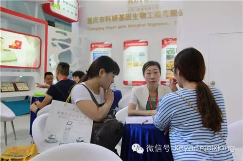 美博會人氣火爆展館——科妍現場分享賺錢模式(圖4) 美博會人氣火爆展館——科妍現場分享賺錢模式(圖4)