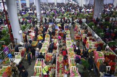 第十二屆昆明國際農業博覽會